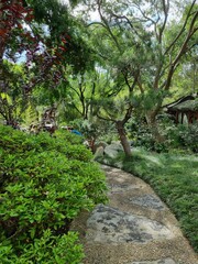 Chinese Garden of Friendship in Sydney, New South Wales, Australia
