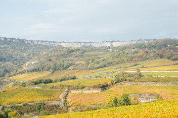 Un paysage de vignes automnales. Le vignoble automnale en Côte-d'Or. Le vignoble de Saint-Romain. Des vignes en automne. Des falaises et des vignes en Bourgogne.
