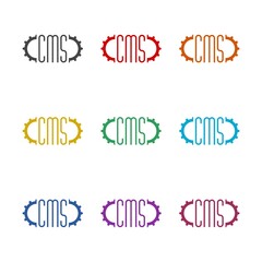 CMS icon isolated on white background, color set