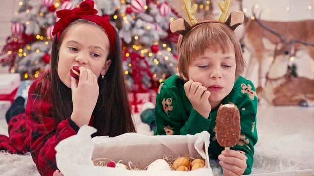 4k video portrait of two cute little children eating Christmas sweets. Craft chocolate handmade sweets in hands of kids. Brother eating sweets near christmas tree.