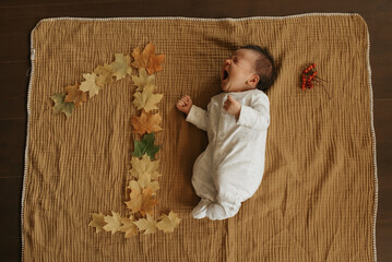 An infant is lying on a muslin blanket near maple leaves lying in the shape of 1. A cute baby girl...