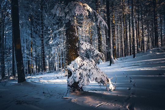 35 schöne Winter-Hintergrundbilder für Desktop & Co