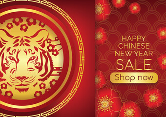 chinese new year art vector background 