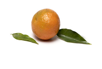 tangerine clementine stem green leaves white background