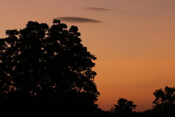 Orange light ,silhouette and clouds sky in the morning