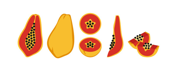 Papaya on white background. vector illustration