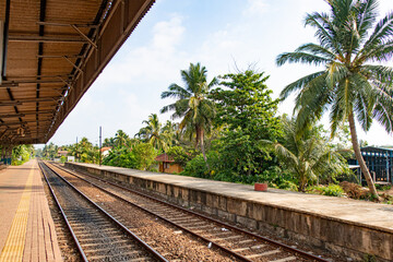 Fototapeta na wymiar Railway station with palm trees in a tropical country.