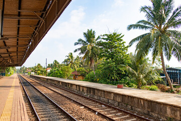 Railway station with palm trees in a tropical country.