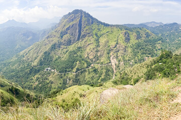 Panorama of a green mountain peak.