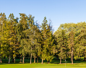 Fototapeta na wymiar beautiful green park with field and trees ant blue sky