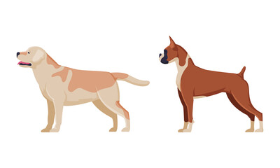 Purebred Dog as Domestic Pet Animal in Standing Pose Side View Vector Set