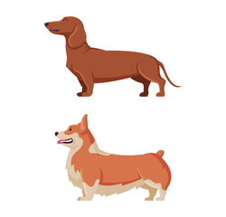 Brown Purebred Dog as Domestic Pet Animal in Standing Pose Side View Vector Set