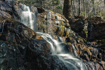Obraz premium Steps of a forest waterfall. A forest landscape. Autumn.