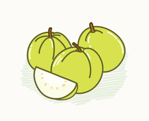 White green  Tawianese guava fruit with slices and cute in cute doodle style vector flat art illustration design