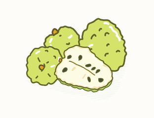 White green cute Taiwanese sugar apple fruit in vector flat art illustration design