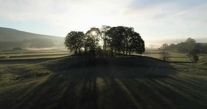 Trees over a hill in a misty field.
