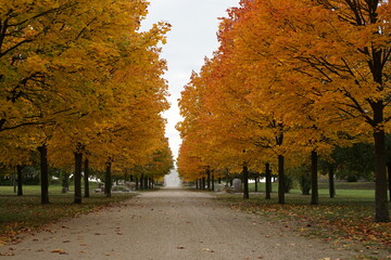 Herbststimmung in einer Park-Allee in Brandenburg