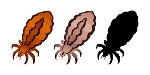 Head louse, parasite insect, bloodsucker. Silhouette. Color vector illustration isolated on a white background in a cartoon and flat design.