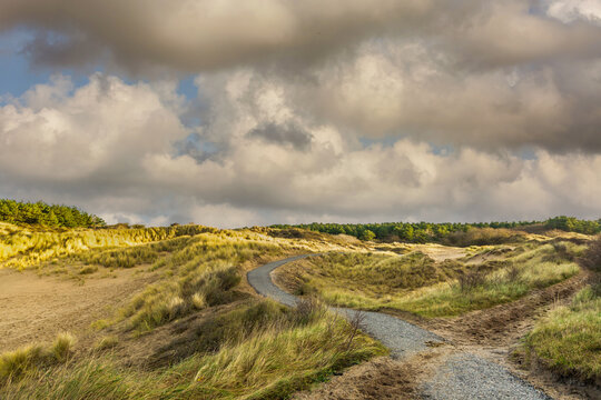 Dune landscape Hollands Duin Noordwijk in the Netherlands with bright sunlight and cumulus clouds in the sky and beautiful perspective depth effect 