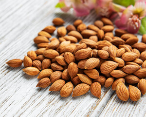 The kernels of apricot pits