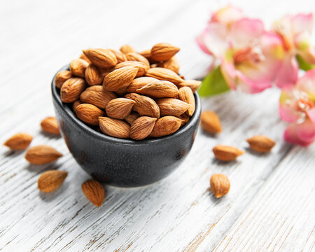 The kernels of apricot pits