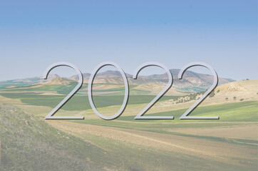 2022 new year illustrations