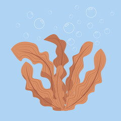 algae in the sea, porous flora and fauna, bubbles in the water