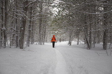 Girl in bright jacket walks in wither forest along narrow path in snowfall and cloudy weather