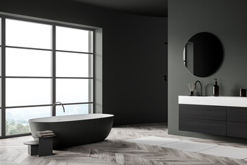 Fototapeta na wymiar Dark bathroom interior with bathtub and sink, carpet and window with countryside