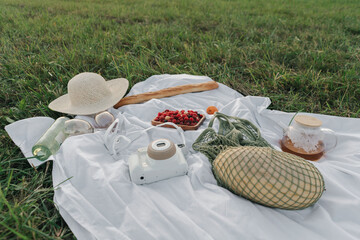Tablecloth with fruits, picnic food, hat and film camera in the middle of a field