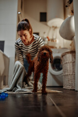 Female owner drying dog after taking a bath