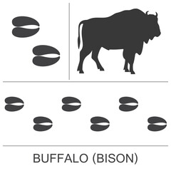 Silhouette and footprints of an American Bison(Buffalo). Vector illustration. © OnD