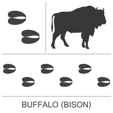 Silhouette and footprints of an American Bison(Buffalo). Vector illustration.