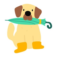 Retriever hold umbrella and wearing rubber rain boots. 
Hand drawn illustration on white background.