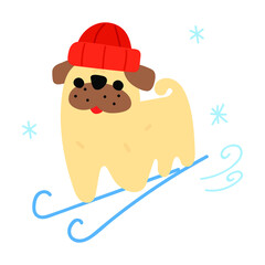 Funny illustration. Pug skiing. Vector flat icon illustration on white background. 