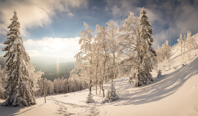 Winter. Landscape of high mountains with snow white peaks and forests. A panoramic view. Wallpaper...