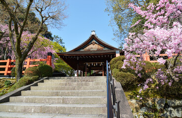 春の建勲神社　拝殿　京都市北区紫野
