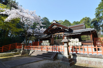 春の建勲神社　本殿　京都市北区紫野