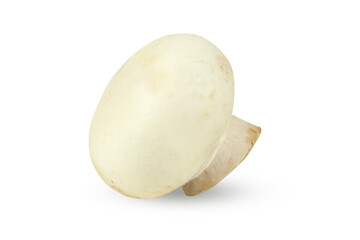 Champignon close-up, isolated on white background.