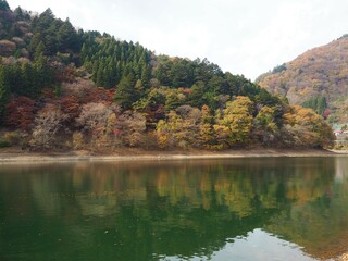 the beautiful autumn leaves of lake okutama in Tokyo