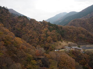 the beautiful autumn leaves of lake okutama in Tokyo