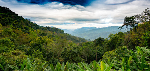 Obraz premium Mountains, National Parks, Nature Trails Signage in Thailand