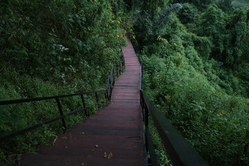 a long wooden path in the middle of the forest