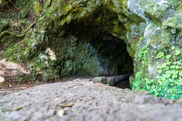 Hiking path in the forest in Levada do Caldeirao Verde Trai