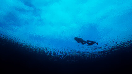 Fototapeta na wymiar Snorkeling 