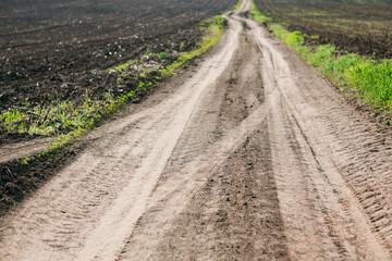 Fototapeta premium Country road and agricultural fields . Road to the village 