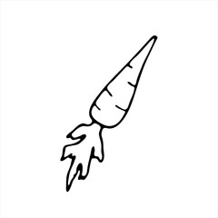 Carrot doodle icon. A black outline of a vegetable isolated on a white background. A simple carrot image for labels, advertising, the Internet.