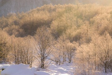 雪国の朝　冬の朝の風景