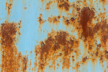 A rusty blue metal wall with fallen paint, a rusty background.
