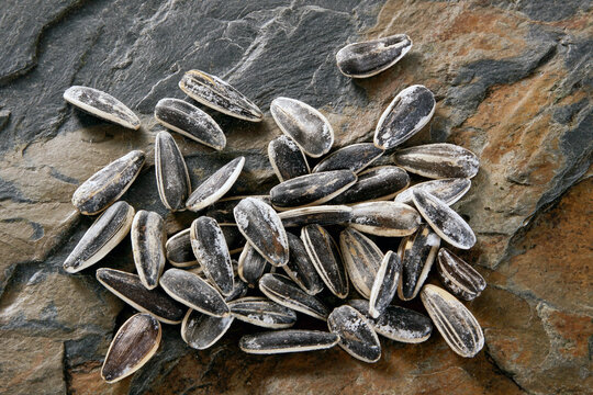 sunflower seeds on stone surface